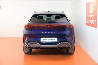 Cupra Terramar Gebrauchtwagen Cupra Terramar Gebrauchtwagen