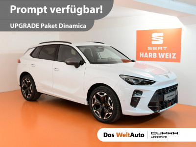 Cupra Terramar Gebrauchtwagen Cupra Terramar Gebrauchtwagen