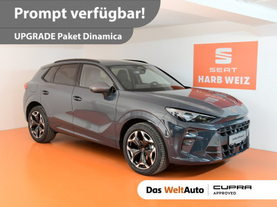 Cupra Terramar Gebrauchtwagen Cupra Terramar Gebrauchtwagen