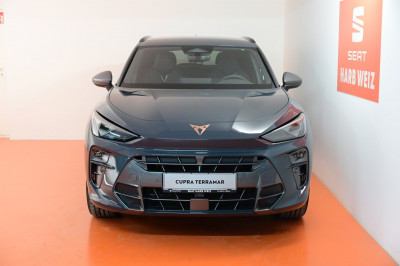 Cupra Terramar Gebrauchtwagen Cupra Terramar Gebrauchtwagen