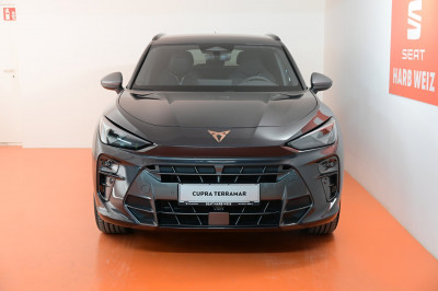 Cupra Terramar Gebrauchtwagen Cupra Terramar Gebrauchtwagen