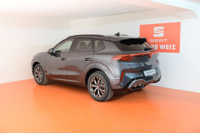 Cupra Terramar Gebrauchtwagen Cupra Terramar Gebrauchtwagen