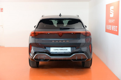 Cupra Terramar Gebrauchtwagen Cupra Terramar Gebrauchtwagen