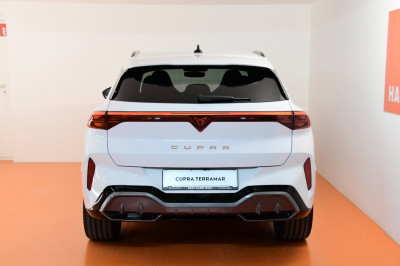 Cupra Terramar Gebrauchtwagen Cupra Terramar Gebrauchtwagen