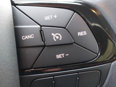 Fiat Panda Vorführwagen