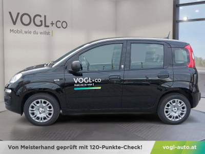 Fiat Panda Vorführwagen