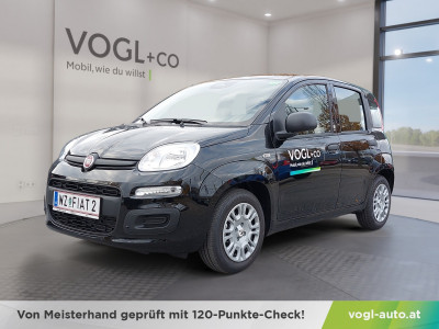 Fiat Panda Vorführwagen