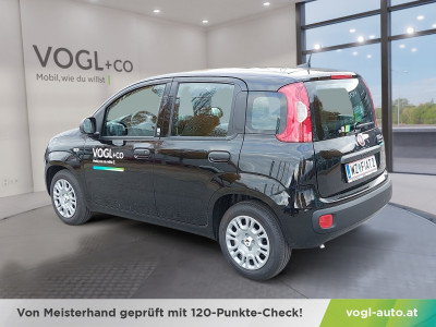 Fiat Panda Vorführwagen