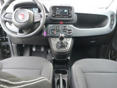 Fiat Panda Vorführwagen