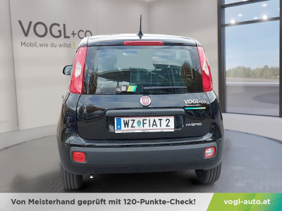 Fiat Panda Vorführwagen