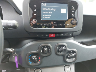 Fiat Panda Vorführwagen