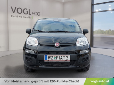 Fiat Panda Vorführwagen