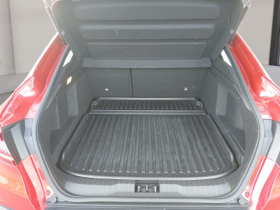 Renault Arkana Gebrauchtwagen