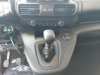 Fiat Doblo Gebrauchtwagen