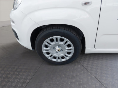 Fiat Pandina Neuwagen