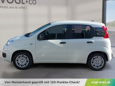 Fiat Pandina Neuwagen