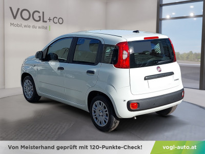 Fiat Pandina Neuwagen