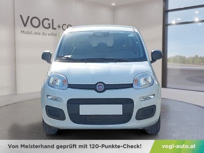 Fiat Pandina Neuwagen