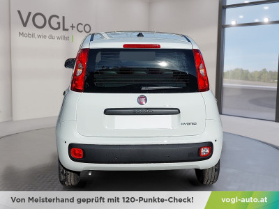 Fiat Pandina Neuwagen