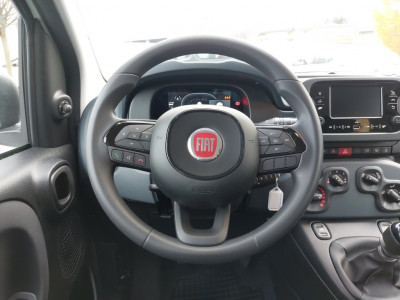 Fiat Pandina Neuwagen