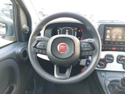 Fiat Panda Vorführwagen