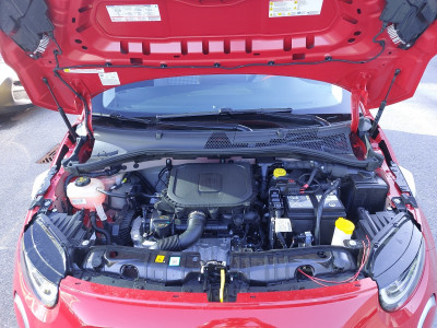 Fiat 500 Neuwagen