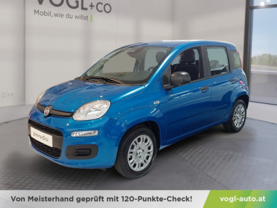 Fiat Panda Vorführwagen