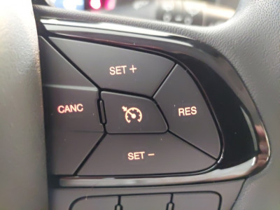 Fiat Panda Vorführwagen