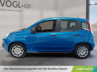 Fiat Panda Vorführwagen