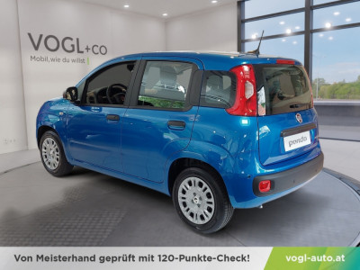 Fiat Panda Vorführwagen