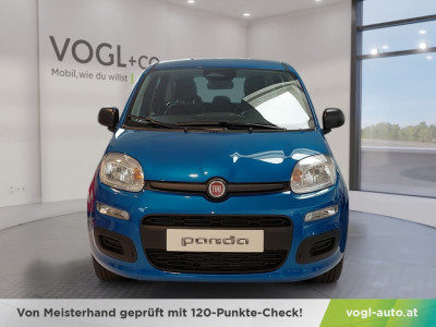 Fiat Panda Vorführwagen