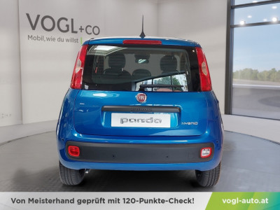 Fiat Panda Vorführwagen