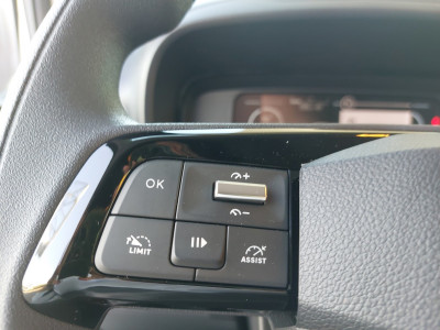 Fiat Doblo Vorführwagen
