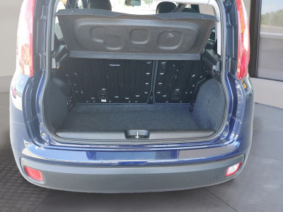 Fiat Panda Gebrauchtwagen Fiat Panda Gebrauchtwagen