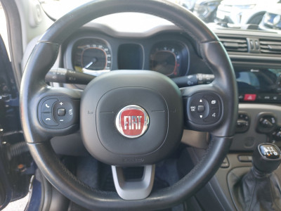 Fiat Panda Gebrauchtwagen Fiat Panda Gebrauchtwagen