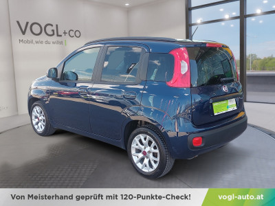 Fiat Panda Gebrauchtwagen Fiat Panda Gebrauchtwagen