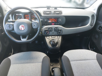 Fiat Panda Gebrauchtwagen Fiat Panda Gebrauchtwagen