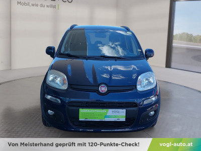 Fiat Panda Gebrauchtwagen Fiat Panda Gebrauchtwagen