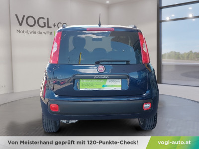 Fiat Panda Gebrauchtwagen Fiat Panda Gebrauchtwagen
