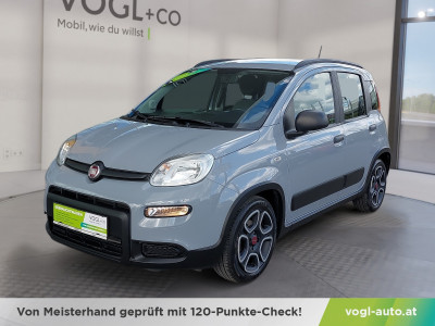 Fiat Panda Gebrauchtwagen Fiat Panda Gebrauchtwagen
