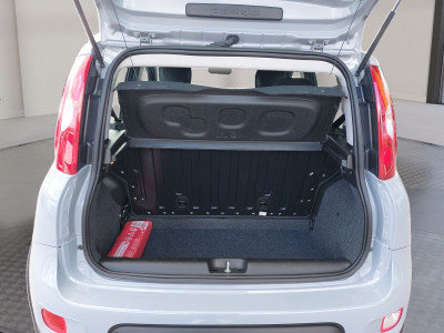 Fiat Panda Gebrauchtwagen Fiat Panda Gebrauchtwagen