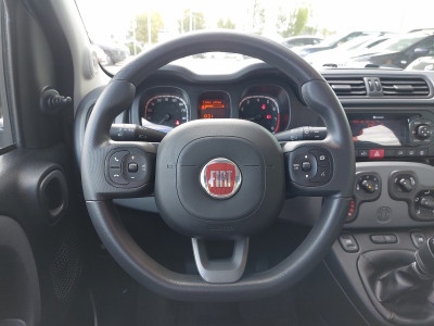 Fiat Panda Gebrauchtwagen Fiat Panda Gebrauchtwagen