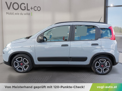 Fiat Panda Gebrauchtwagen Fiat Panda Gebrauchtwagen