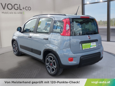 Fiat Panda Gebrauchtwagen Fiat Panda Gebrauchtwagen