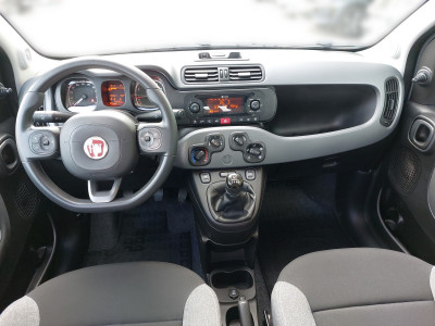 Fiat Panda Gebrauchtwagen Fiat Panda Gebrauchtwagen