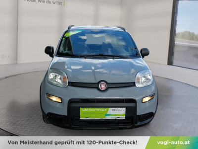 Fiat Panda Gebrauchtwagen Fiat Panda Gebrauchtwagen