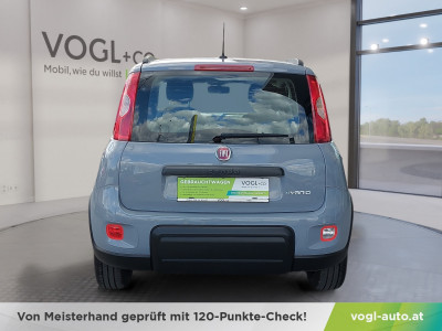 Fiat Panda Gebrauchtwagen Fiat Panda Gebrauchtwagen