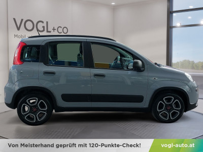 Fiat Panda Gebrauchtwagen Fiat Panda Gebrauchtwagen