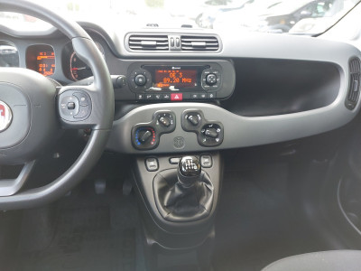 Fiat Panda Gebrauchtwagen Fiat Panda Gebrauchtwagen