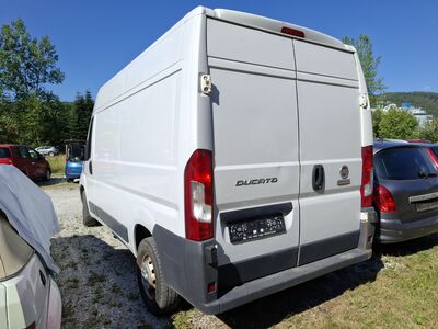Fiat Ducato Gebrauchtwagen
